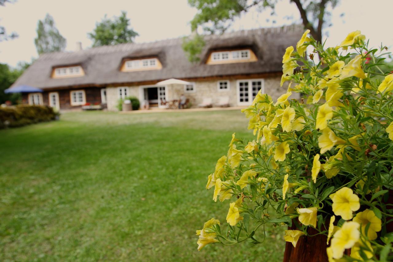 Tornimäe メッツァラ B ＆ B Bed & Breakfast エクステリア 写真