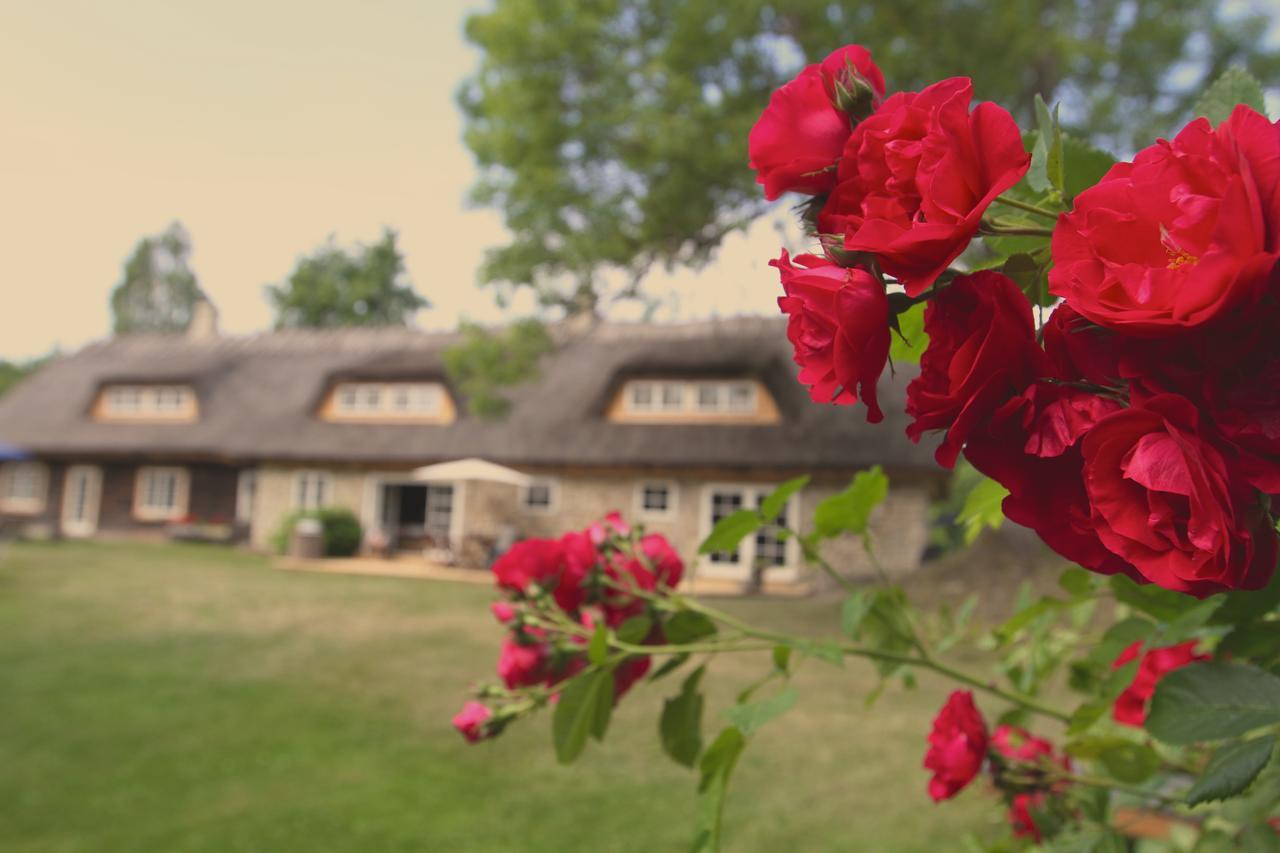 Tornimäe メッツァラ B ＆ B Bed & Breakfast エクステリア 写真