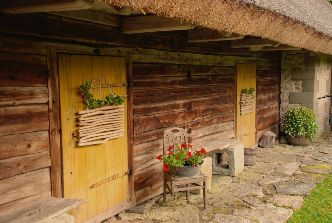 Tornimäe メッツァラ B ＆ B Bed & Breakfast エクステリア 写真