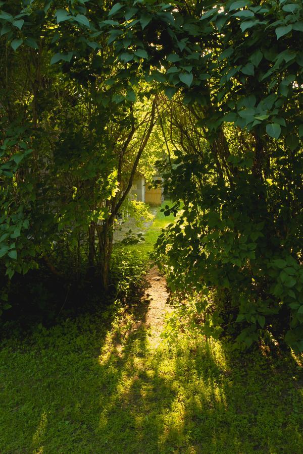 Tornimäe メッツァラ B ＆ B Bed & Breakfast エクステリア 写真