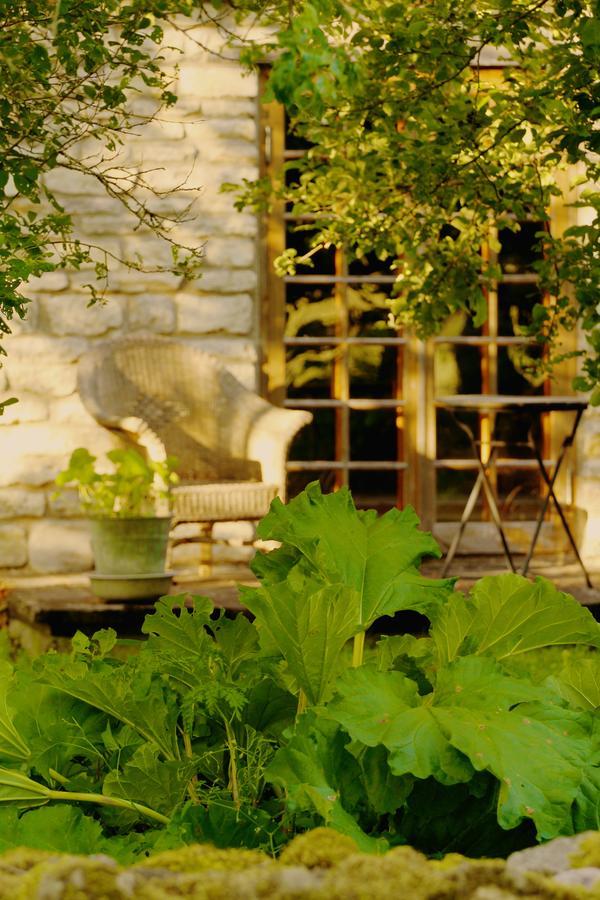 Tornimäe メッツァラ B ＆ B Bed & Breakfast エクステリア 写真